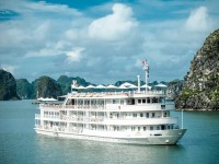 AUCO CRUISE
